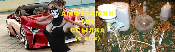твердый Аркадак