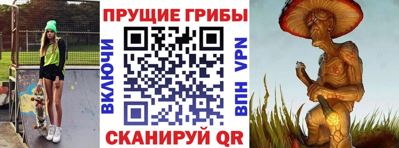 даркнет какой сайт  Тында  Галлюциногенные грибы ЛСД  купить наркоту 